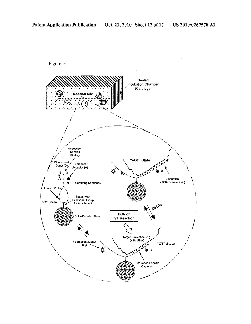 PROBE DENSITY SELF-CONSIDERATIONS AND ELONGATION OF COMPLEMENTARY LOOPED PROBES WHERE PROBES ARE ATTACHED TO A SOLID PHASE - diagram, schematic, and image 13