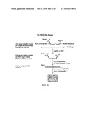 Chemical ligation dependent probe amplification (CLPA) diagram and image