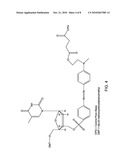 Chemical ligation dependent probe amplification (CLPA) diagram and image