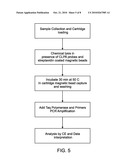 Chemical ligation dependent probe amplification (CLPA) diagram and image