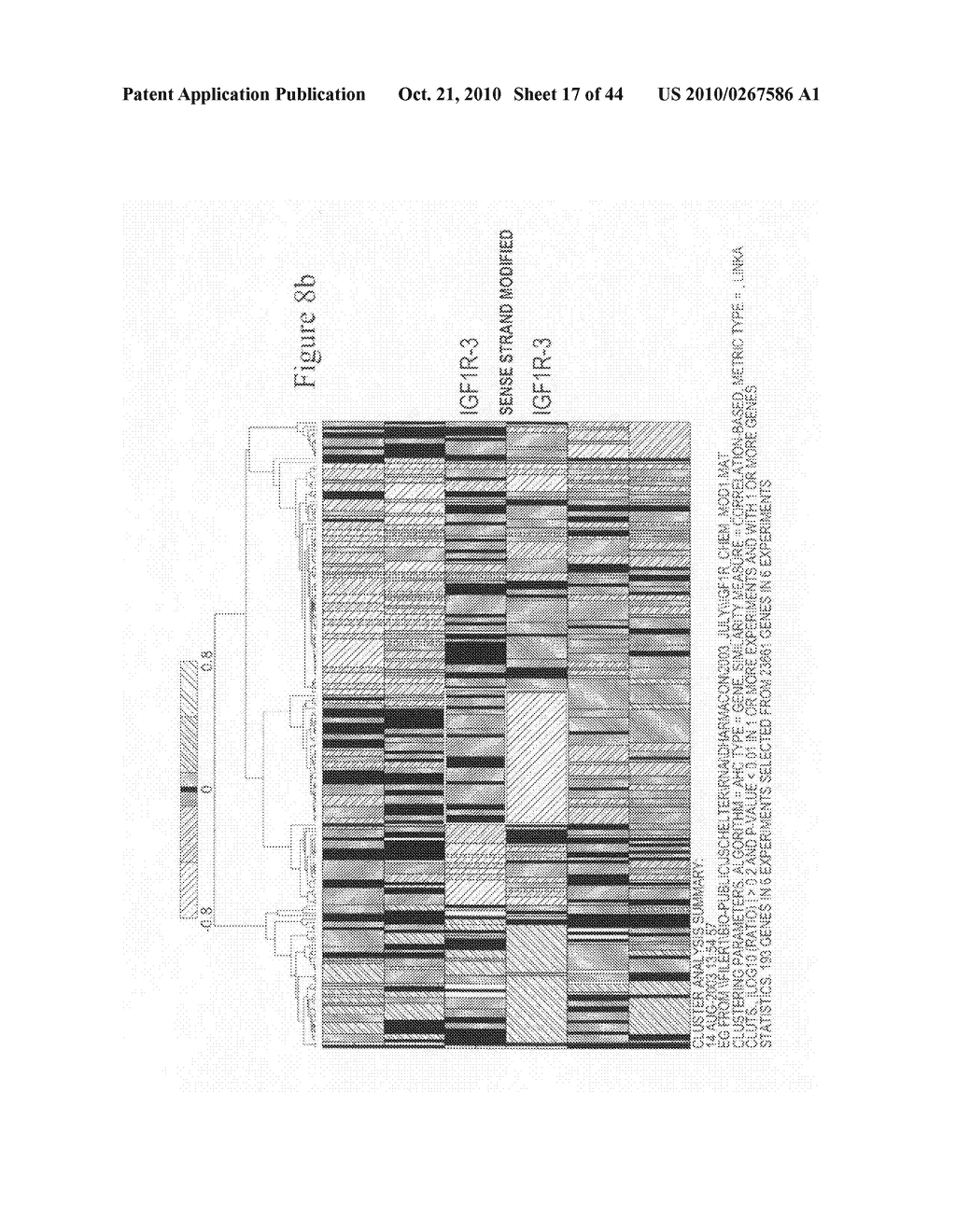 siRNA targeting KRAS - diagram, schematic, and image 18