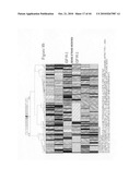siRNA targeting cyclin dependent kinase 11 (CDK11) diagram and image
