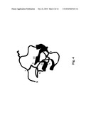 Polypeptide comprising a knottin protein moiety diagram and image