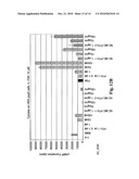 Polypeptide comprising a knottin protein moiety diagram and image