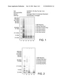 HYPOALLERGENIC CEREAL PROTEIN AND USES THEREOF diagram and image