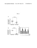 Methods and Compositions for Treatment of Atherosclerosis diagram and image