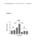 Methods to activate or block the HLA-E/Qa-1 restricted CD8+ T cell regulatory pathway to treat immunological disease diagram and image