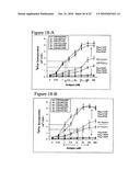 Methods to activate or block the HLA-E/Qa-1 restricted CD8+ T cell regulatory pathway to treat immunological disease diagram and image