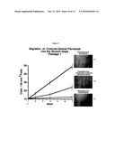 PROGNOSTIC TESTS FOR DEVELOPMENT OF DERMAL STRETCH MARKS AND IMPLICATIONS FOR THE PREVENTATIVE TREATMENT THEREOF diagram and image