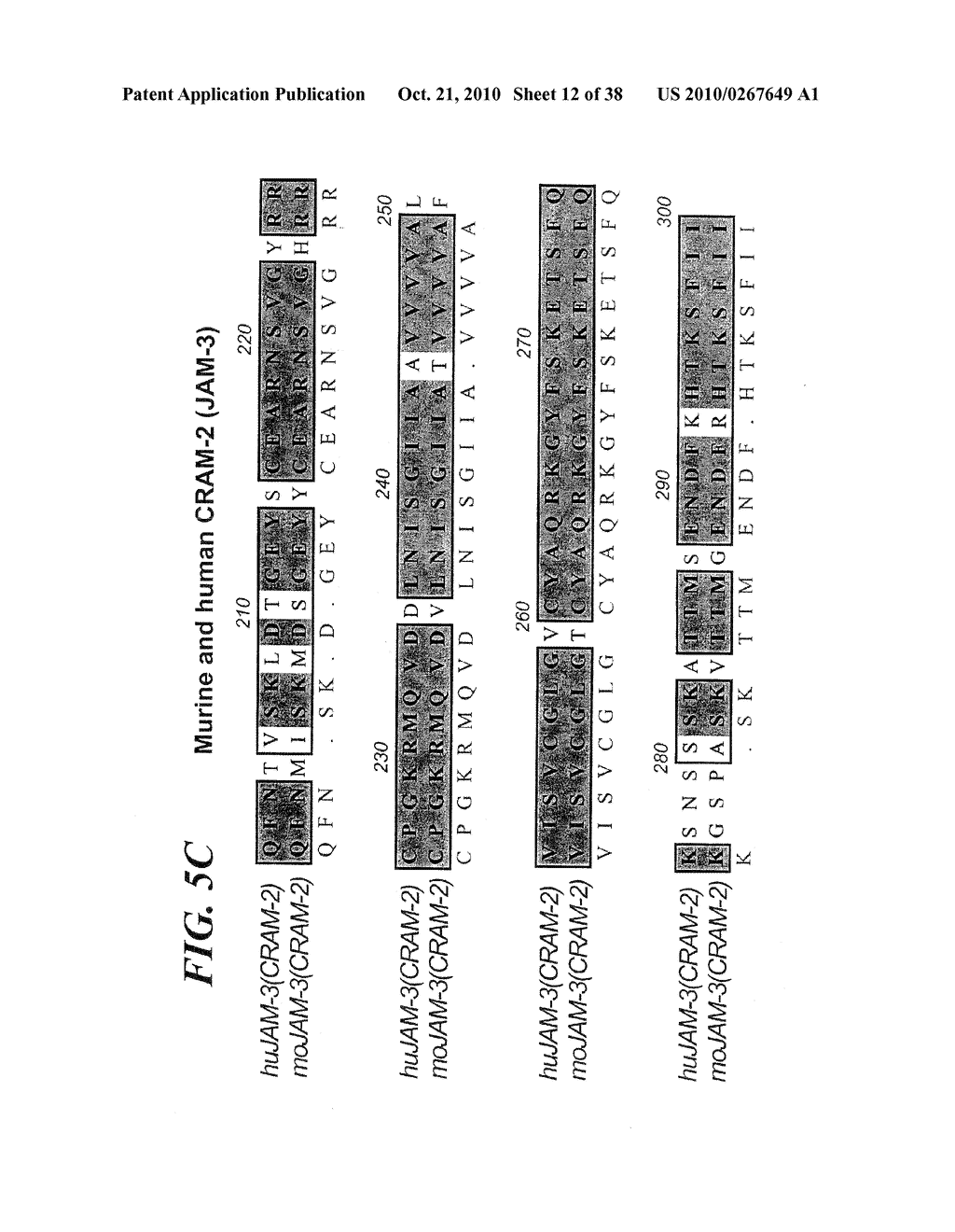 VASCULAR ADHESION MOLECULES AND MODULATION OF THEIR FUNCTION - diagram, schematic, and image 13