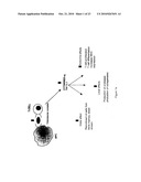 T CELL ANTIGEN RECEPTOR PEPTIDES diagram and image