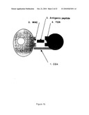 T CELL ANTIGEN RECEPTOR PEPTIDES diagram and image