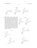 NOVEL PROLINE DERIVATIVES diagram and image