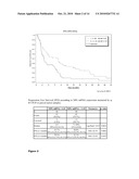 Prognostic Molecular Markers for ET-743 Treatment diagram and image