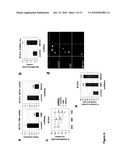 Regulators Of Fat Metabolism As Anti-Cancer Targets diagram and image