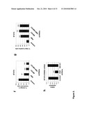 Regulators Of Fat Metabolism As Anti-Cancer Targets diagram and image