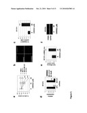 Regulators Of Fat Metabolism As Anti-Cancer Targets diagram and image