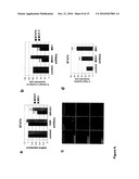 Regulators Of Fat Metabolism As Anti-Cancer Targets diagram and image