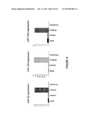 DIFFERENTIAL EXPRESSION OF MICRORNAS IN NONFAILING VERSUS FAILING HUMAN HEARTS diagram and image