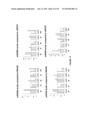 DIFFERENTIAL EXPRESSION OF MICRORNAS IN NONFAILING VERSUS FAILING HUMAN HEARTS diagram and image