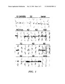 TARGETING OPPOSITE STRAND REPLICATION INTERMEDIATES OF SINGLE-STRANDED VIRUSES BY RNAI diagram and image