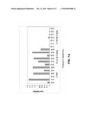 LIPID FORMULATED COMPOSITIONS AND METHODS FOR INHIBITING EXPRESSION OF Eg5 AND VEGF GENES diagram and image