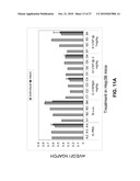 LIPID FORMULATED COMPOSITIONS AND METHODS FOR INHIBITING EXPRESSION OF Eg5 AND VEGF GENES diagram and image