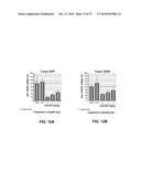 LIPID FORMULATED COMPOSITIONS AND METHODS FOR INHIBITING EXPRESSION OF Eg5 AND VEGF GENES diagram and image