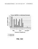 LIPID FORMULATED COMPOSITIONS AND METHODS FOR INHIBITING EXPRESSION OF Eg5 AND VEGF GENES diagram and image