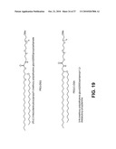 LIPID FORMULATED COMPOSITIONS AND METHODS FOR INHIBITING EXPRESSION OF Eg5 AND VEGF GENES diagram and image