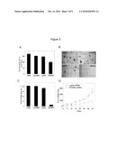 PFKFB4 Inhibitors And Methods Of Using The Same diagram and image