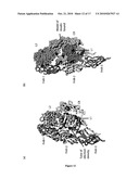 Structure of the Insulin Receptor Ectodomain diagram and image