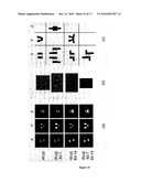 Structure of the Insulin Receptor Ectodomain diagram and image