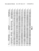 SLO2 and SLO4, Novel Potassium Channel Proteins from Human Brain diagram and image