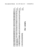 SLO2 and SLO4, Novel Potassium Channel Proteins from Human Brain diagram and image