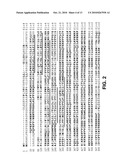 SLO2 and SLO4, Novel Potassium Channel Proteins from Human Brain diagram and image