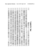 SLO2 and SLO4, Novel Potassium Channel Proteins from Human Brain diagram and image