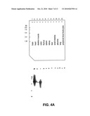 SLO2 and SLO4, Novel Potassium Channel Proteins from Human Brain diagram and image