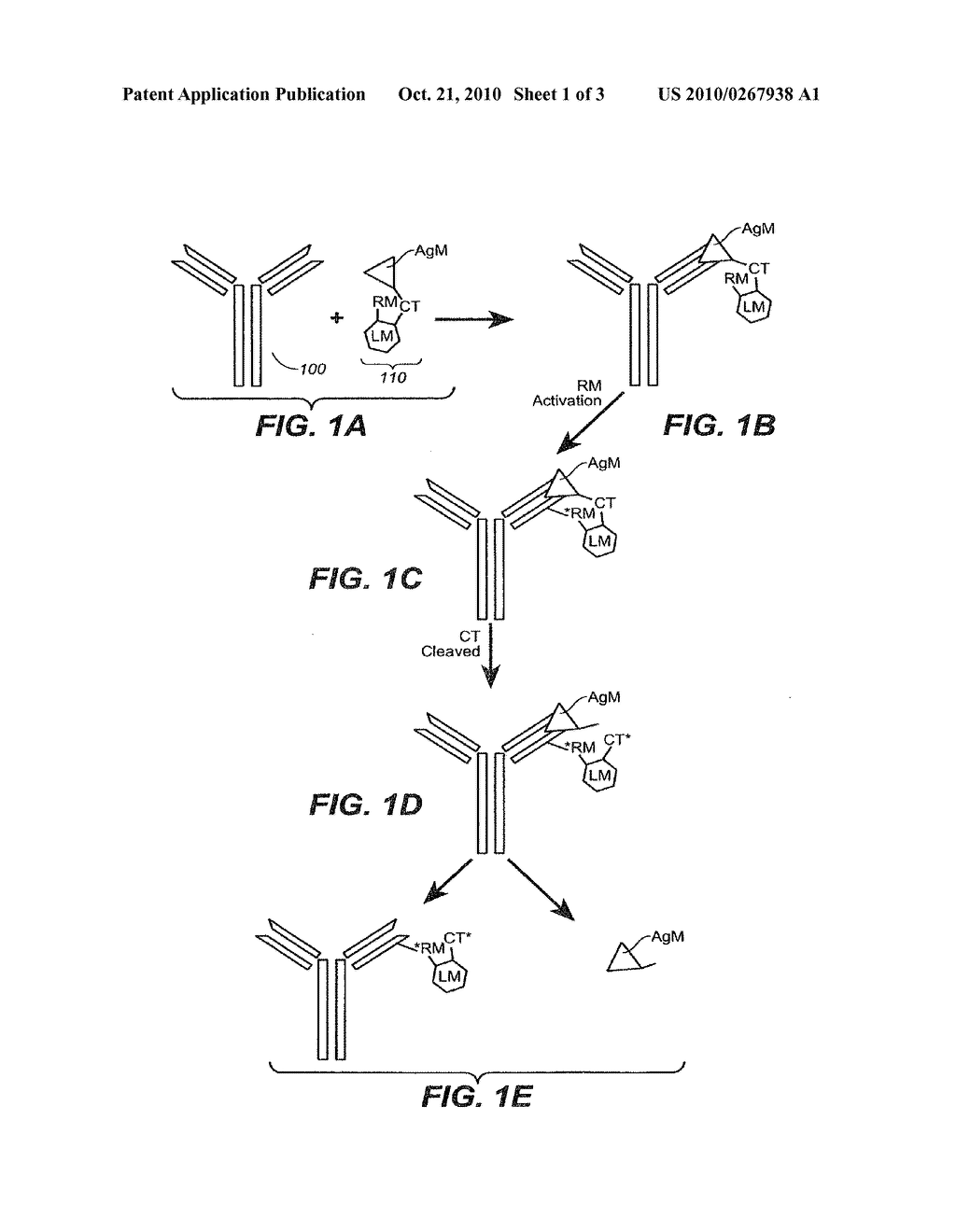 USE OF ANTIBODY-SURROGATE ANTIGEN SYSTEMS FOR DETECTION OF ANALYTES - diagram, schematic, and image 02