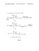 IRNA AGENTS WITH BIOCLEAVABLE TETHERS diagram and image