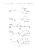 MULTIFUNCTIONAL METAL-CHELATING LIGANDS diagram and image