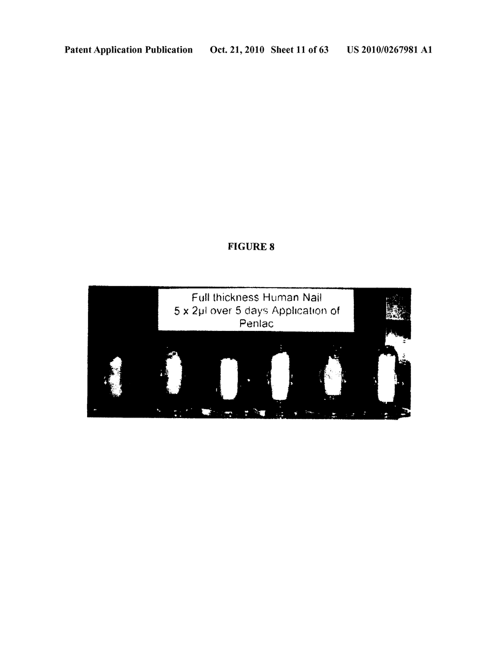 BORON-CONTAINING SMALL MOLECULES - diagram, schematic, and image 12