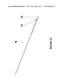 BRACHYTHERAPY FIDUCIAL NEEDLE FIXATION SYSTEM AND METHOD diagram and image