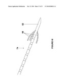 BRACHYTHERAPY FIDUCIAL NEEDLE FIXATION SYSTEM AND METHOD diagram and image