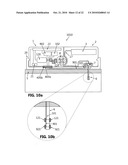 Device and Method for Preventing Diabetic Complications diagram and image