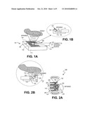 PHOTOACOUSTIC IMAGING DEVICES AND METHODS OF IMAGING diagram and image