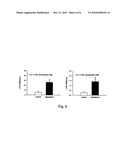 METHOD AND SYSTEM OF AUDITORY EVOKED HEART RATE VARIABILITY ANALYSIS diagram and image