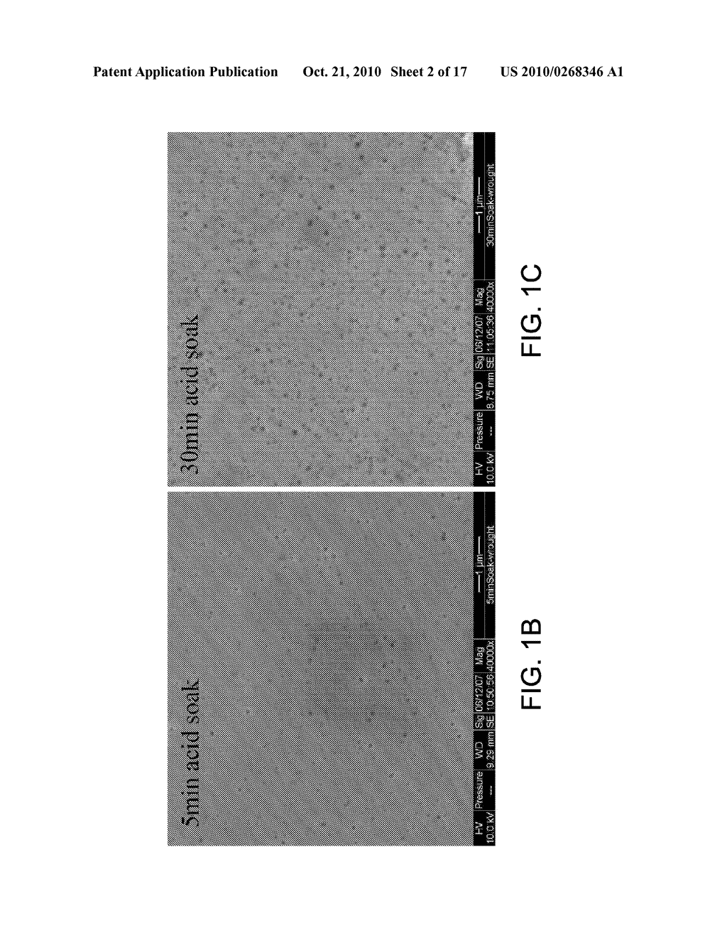 NANOTEXTURED COBALT-CHROMIUM ALLOY ARTICLES HAVING HIGH WETTABILITY AND METHOD OF PRODUCING SAME - diagram, schematic, and image 03