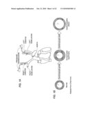 METHODS, COMPOSITIONS AND TRANSGENIC MODELS RELATED TO THE INTERACTION OF T-CADHERIN AND ADIPONECTIN diagram and image