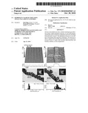 HYDROGEN GAS DETECTION USING SINGLE PALLADIUM NANOWIRES diagram and image